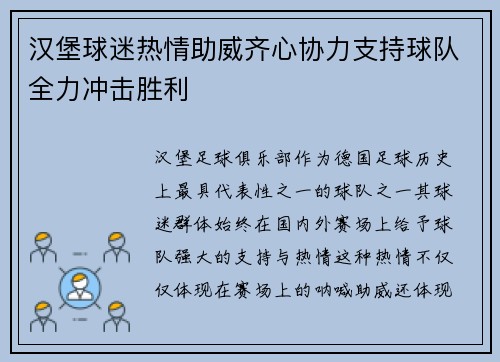 汉堡球迷热情助威齐心协力支持球队全力冲击胜利