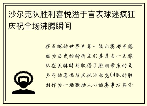 沙尔克队胜利喜悦溢于言表球迷疯狂庆祝全场沸腾瞬间