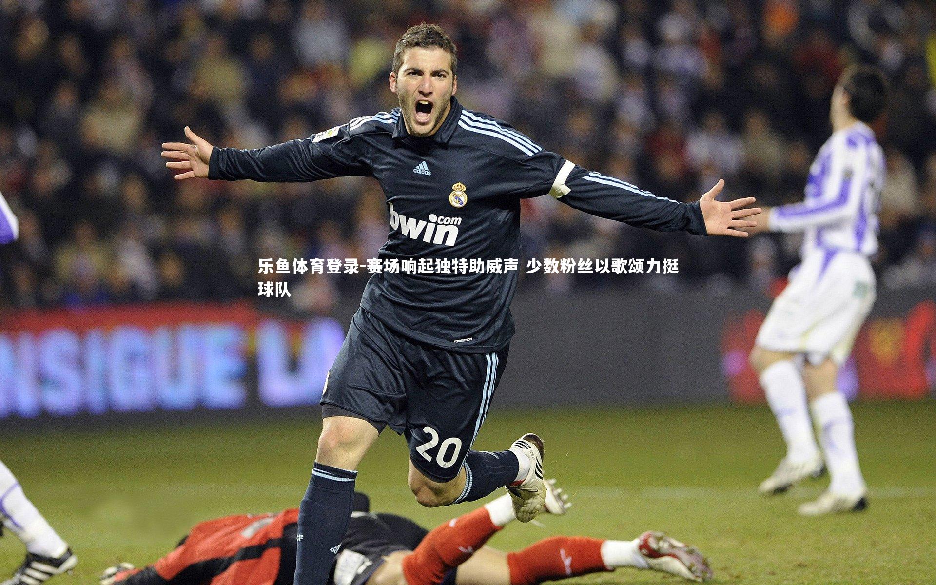 赛场响起独特助威声 少数粉丝以歌颂力挺球队